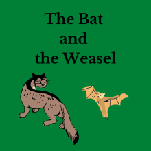 The Bat and the Weasel 
