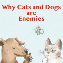 Why Cats and Dogs are Enemies