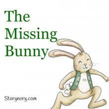 The Missing Bunny