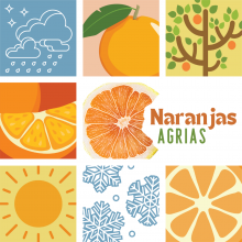 Collage of orange fruits, a sun, rainclouds, snow flakes, and an orange tree