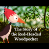 The Story of the Red-Headed Woodpecker