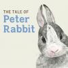 Grey and white bunny looking forward with its ears pulled together